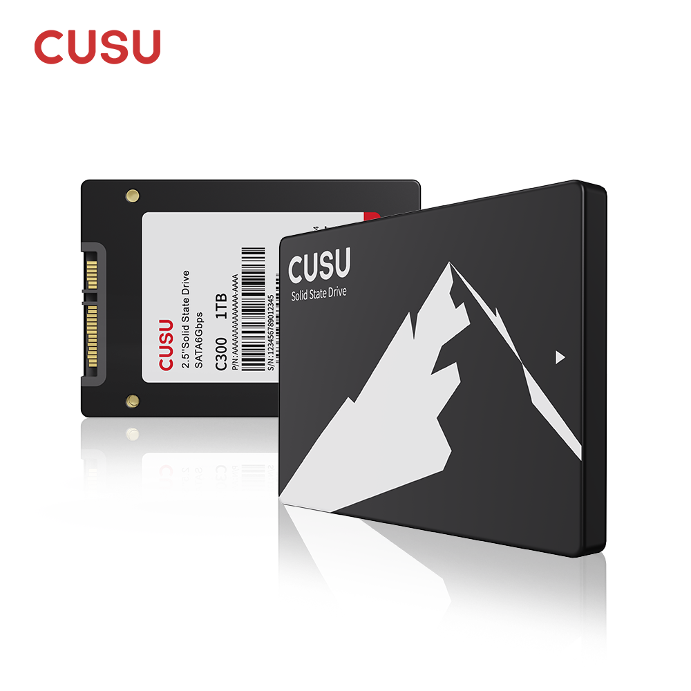 CUSU SSD 1TB 512GB 256GB 128GB - đánh giá và giá Samsung Ssd Evo 870